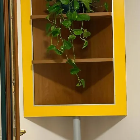 דירה “stadium”