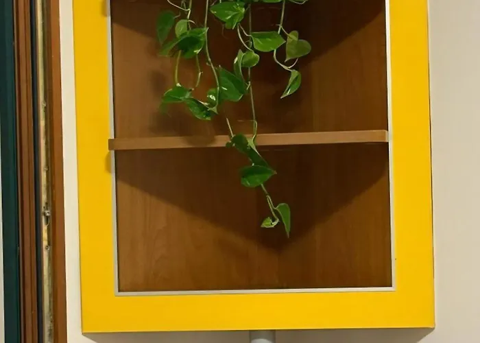 アパート “stadium”